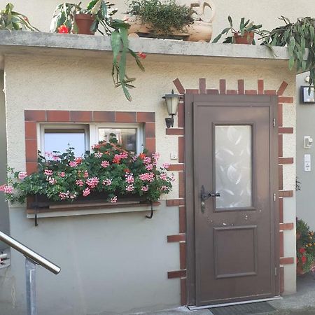 Hinterkappelen Wohnung Wohlensee מראה חיצוני תמונה